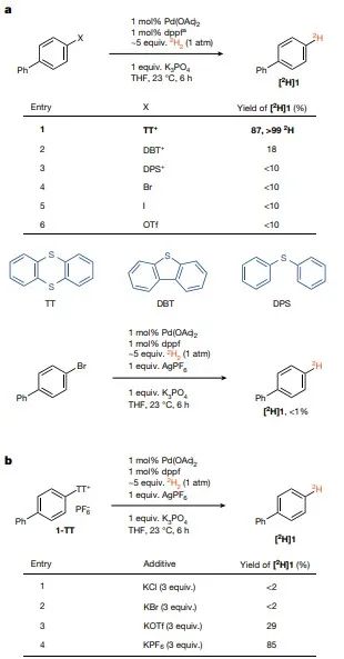 灣仔區(qū)聚氨酯泡沫體一步法發(fā)泡工藝影響因素之[催化劑的影響]