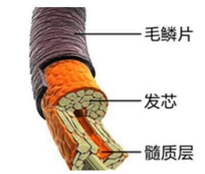 西咸新區(qū)深度剖析|無硅油VS含硅，洗發(fā)水究竟怎么選？